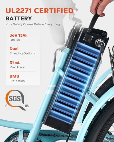 24 inch 250W Electric Tricycle with 468Wh Removable Battery F8081