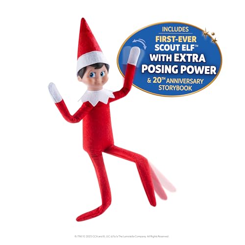 Boy with Blue Eyes Posable Christmas Elf and Storybook U12373
