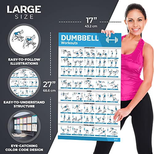 12-PACK Laminated Large Workout Poster Set with Exercise Charts J651