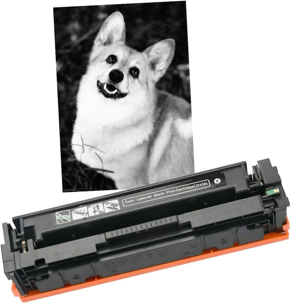 2 Pack Black Compatible Toner Cartridges Y54307