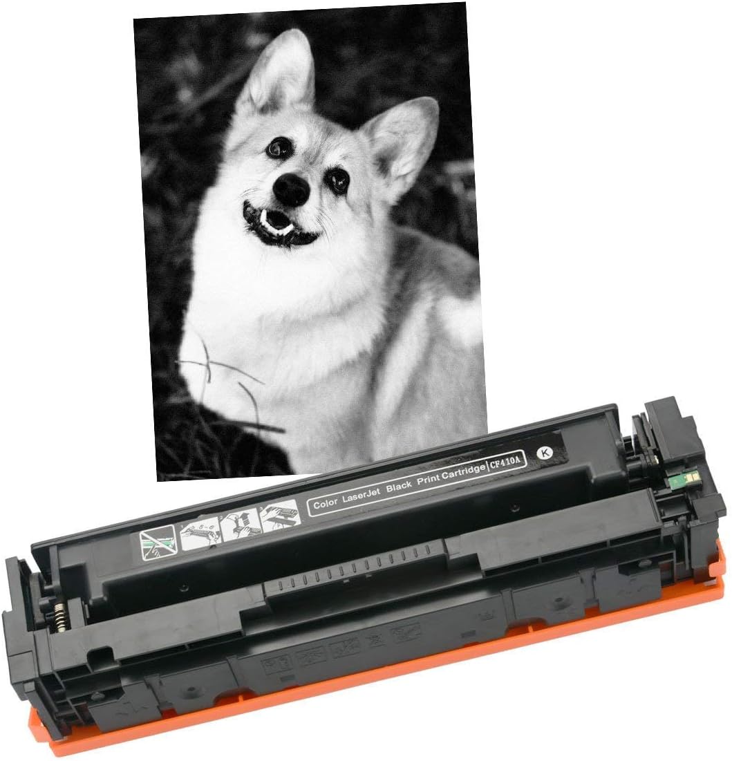 2 Pack Black Compatible Toner Cartridges Y54307