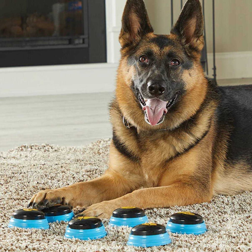 Talking Pet Essential Words F814869