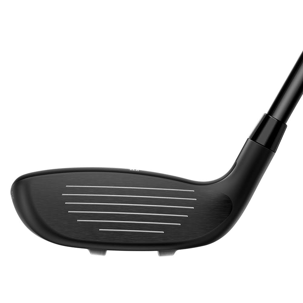 Combo Iron Set Z220