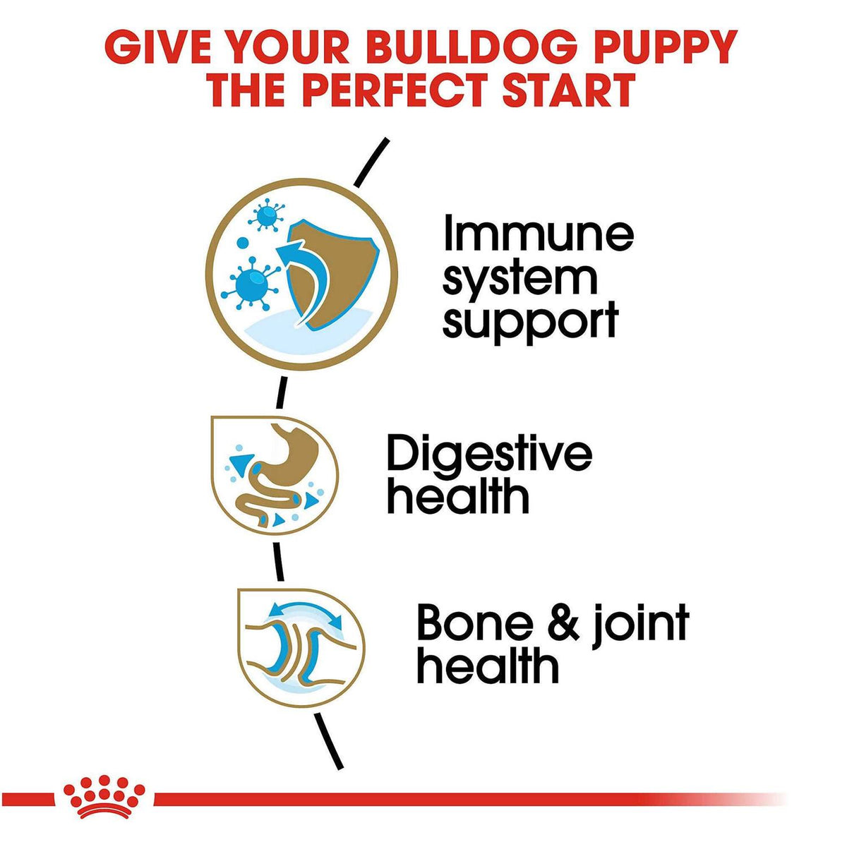 Bulldog Puppy Dry Dog Food T687