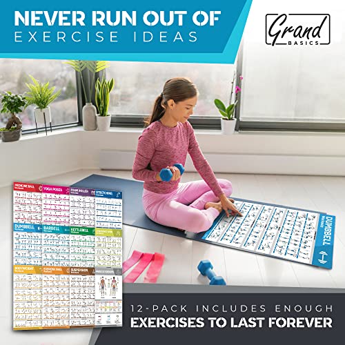 12-PACK Laminated Large Workout Poster Set with Exercise Charts J651