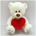 Plush Bear Holding A Heart 15.75x22 Case Pack 6 B701796