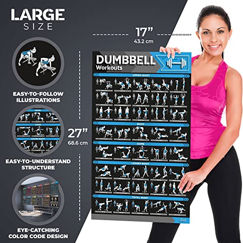 12-PACK Laminated Large Workout Poster Set with Exercise Charts J651