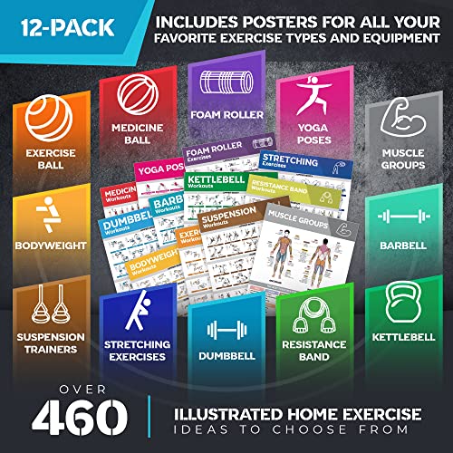 12-PACK Laminated Large Workout Poster Set with Exercise Charts J651