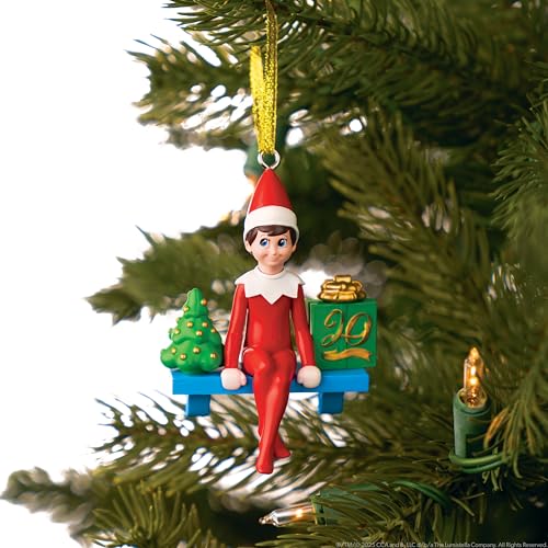 Boy with Blue Eyes Posable Christmas Elf and Storybook U12373
