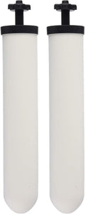 Ceramic Filter Cartridge 2 Pack S56216