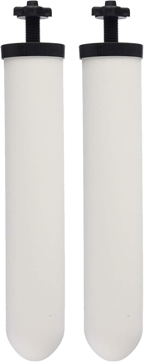 Ceramic Filter Cartridge 2 Pack S56216