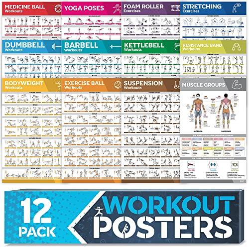 12-PACK Laminated Large Workout Poster Set with Exercise Charts J651