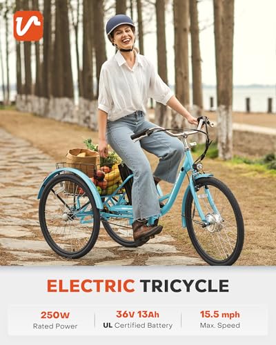 24 inch 250W Electric Tricycle with 468Wh Removable Battery F8081
