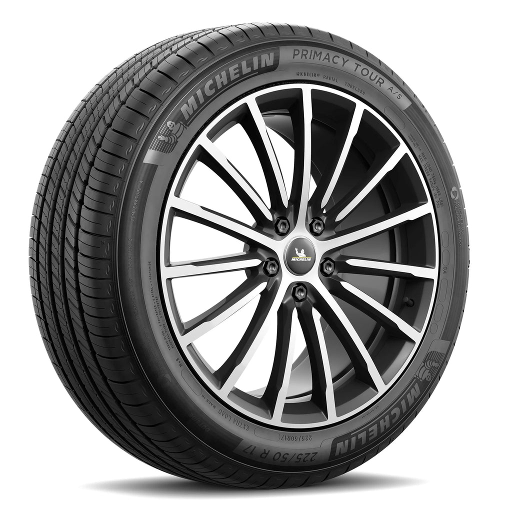 All-Season 225/50R17/XL 98V Tire R1273