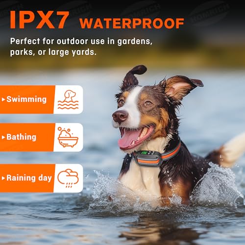 2 in 1 GPS Wireless Dog Fence and Training Collar X354