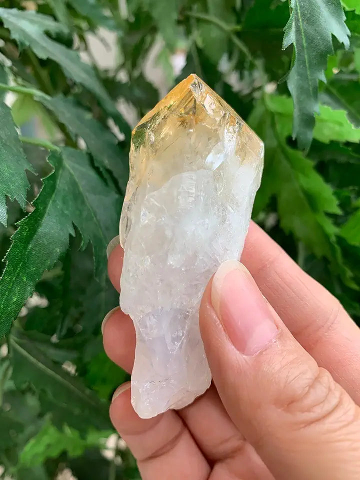 2-3" Natural Citrine Points Healing Crystals, 20 Points V7553