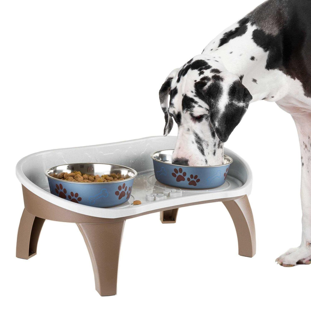 Elevated Pet Feeding Tray with Splash Guard and Non-Skid Feet X591104