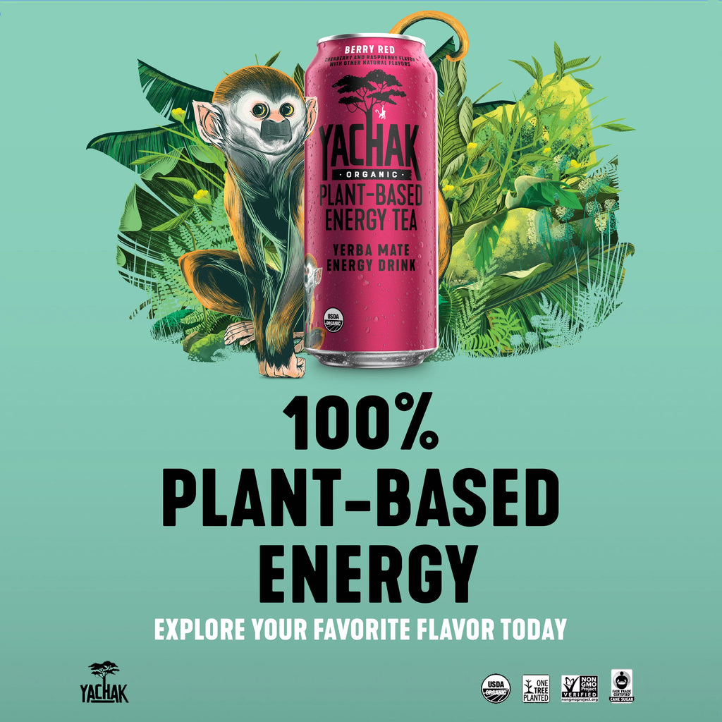 Yerba Mate Drink 16 fl oz 12 Pack Cans F631145