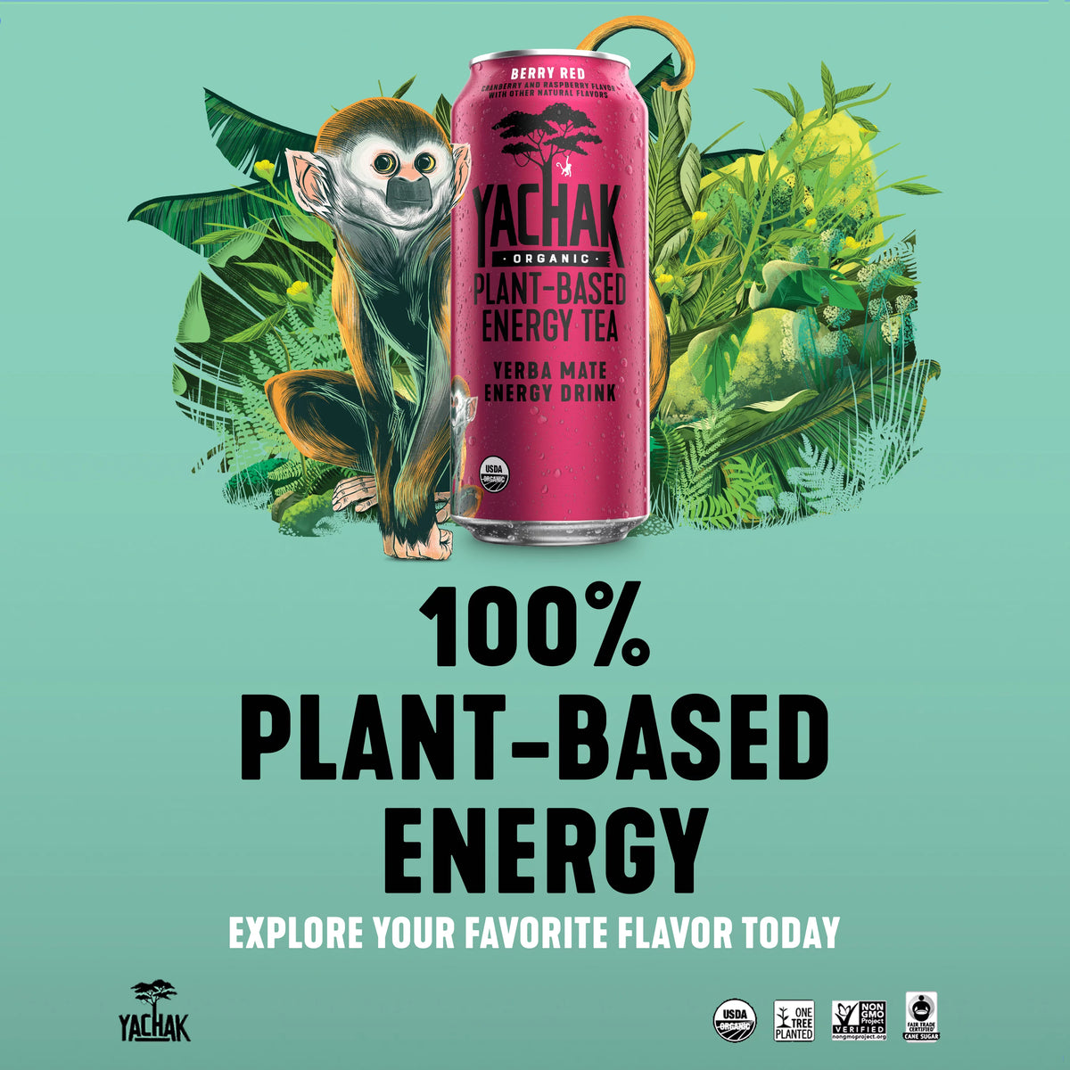 Yerba Mate Drink 16 fl oz 12 Pack Cans F631145