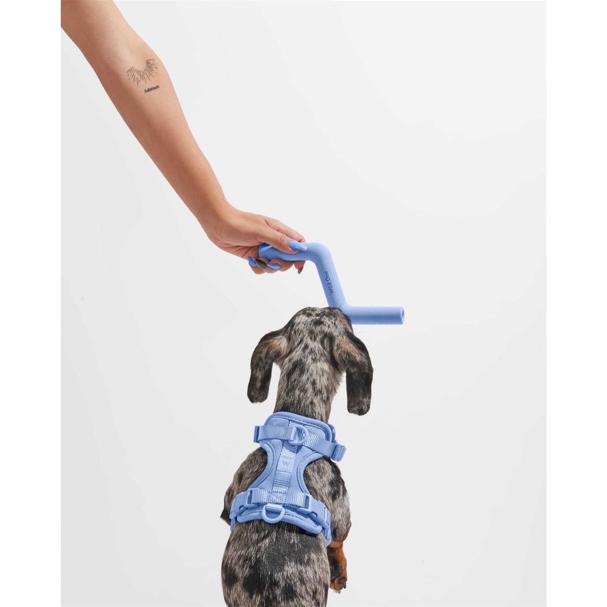 Dog Toy Y6379