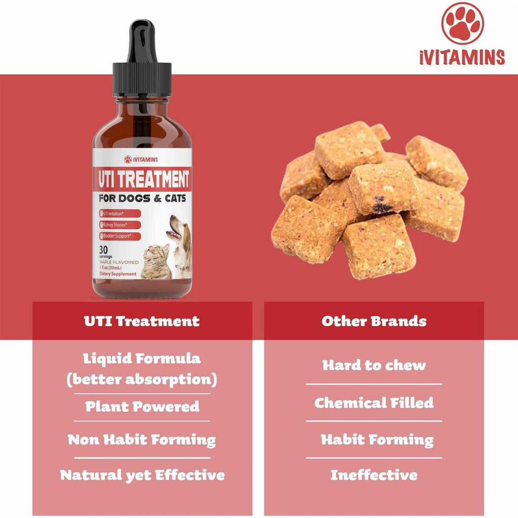 Pumpkin Cranberry Supplement for Dogs N427248