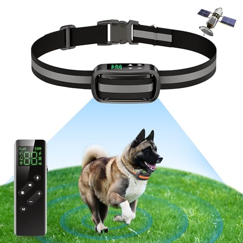 2 in 1 GPS Wireless Dog Fence and Training Collar X354