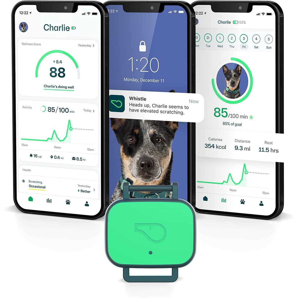 Dog Health & Fitness Tracker P527730