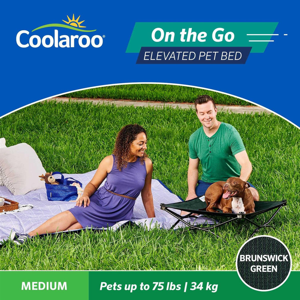 Elevated Pet Bed H116