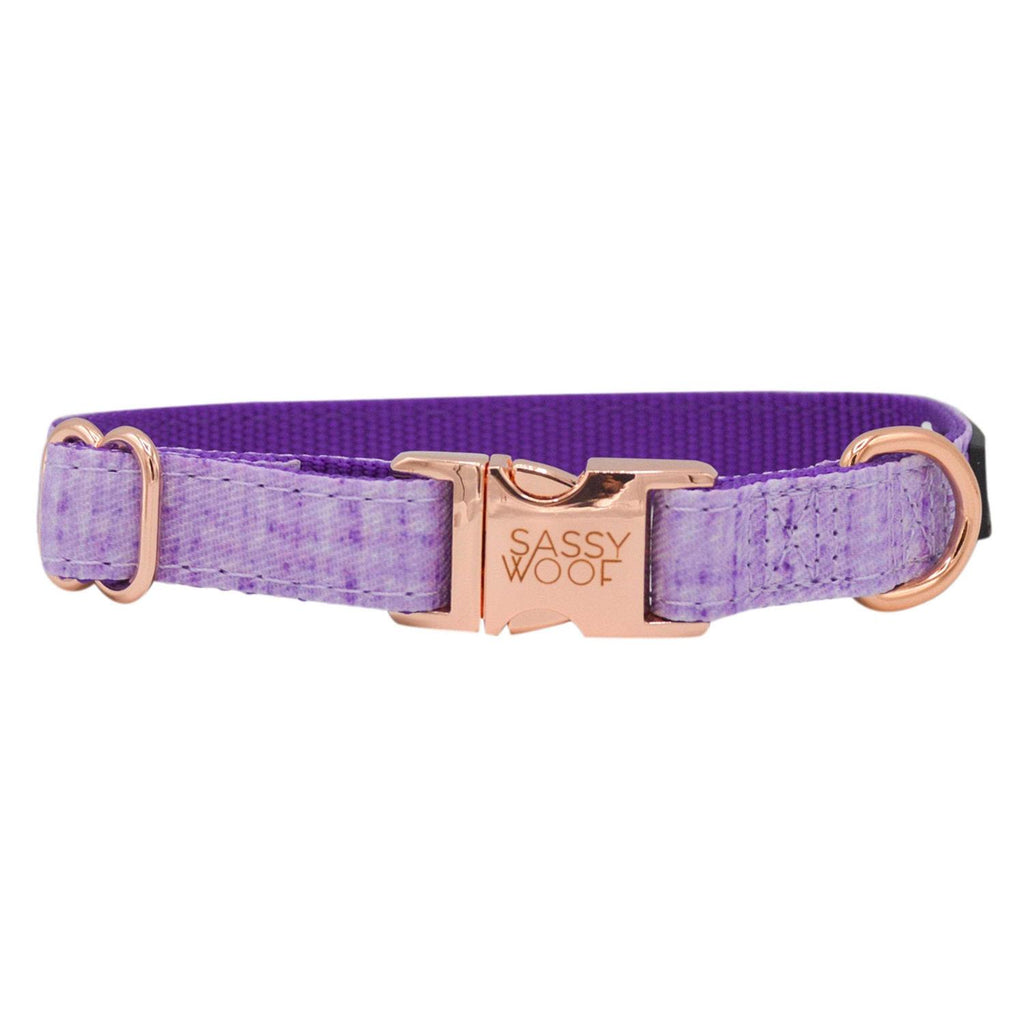 Dog Collar S776