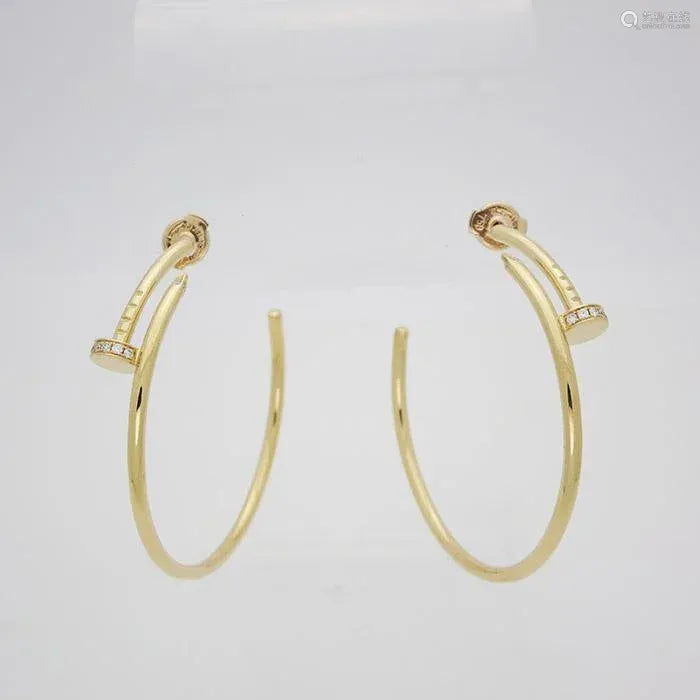Earrings U97918