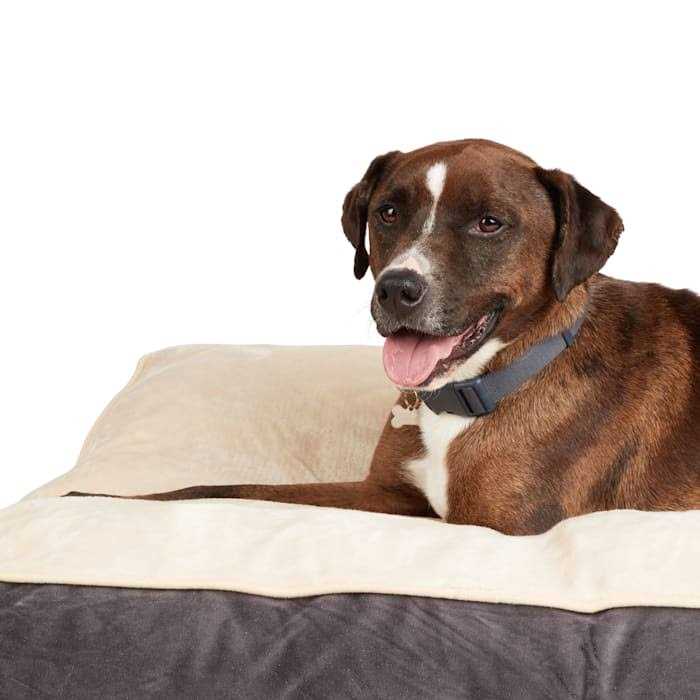 Snooze Fest Lounger Dog Bed K35094