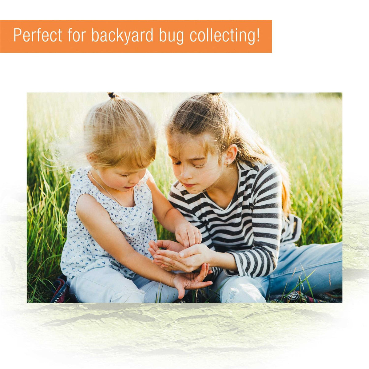 Micro Habitat Terrestrial H859374