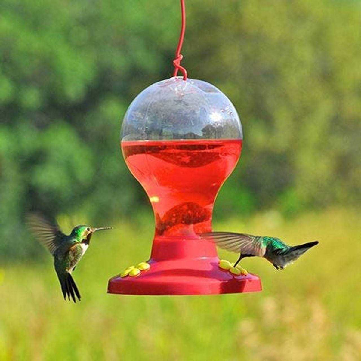 Hummingbird Nectar J8409