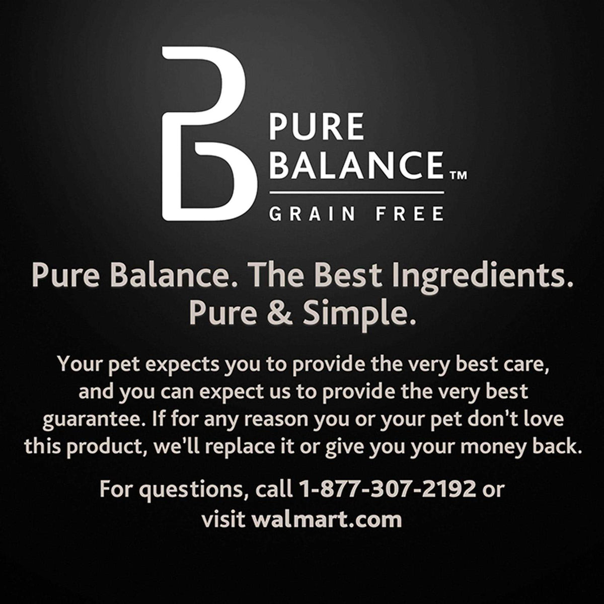 Chicken and Brown Rice Recipe Dry Dog Food L933