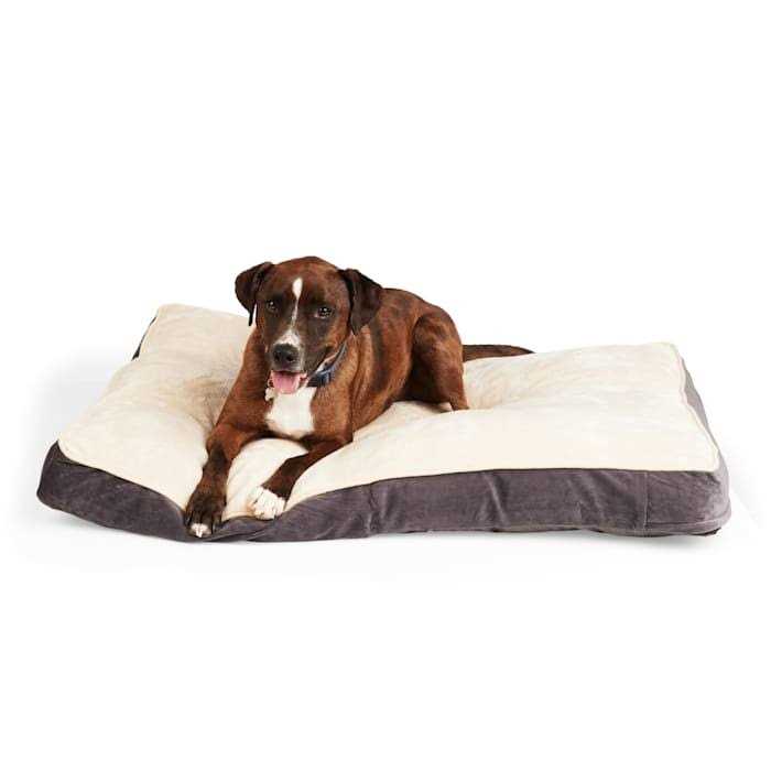 Snooze Fest Lounger Dog Bed K35094
