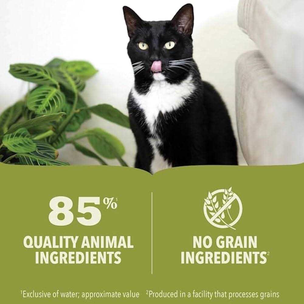 Chicken & Tuna Wet Cat Food T889