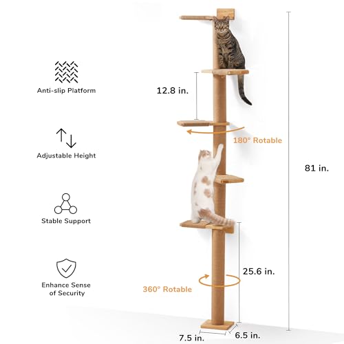 5 Tier Floor to Ceiling Cat Tree Y4859
