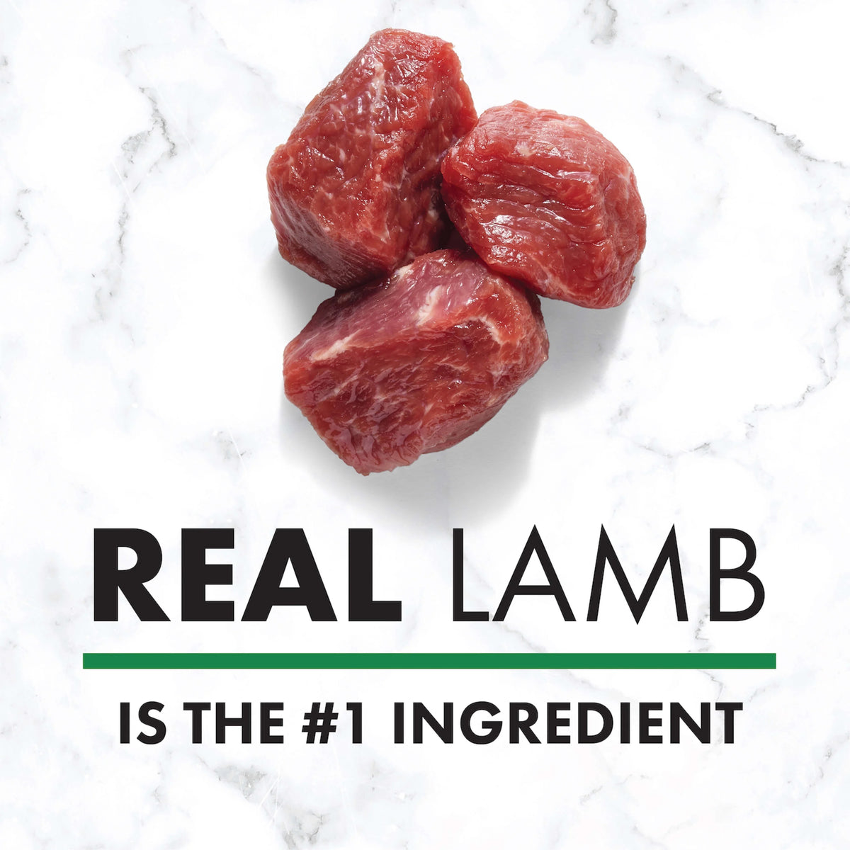 Lamb & Brown Rice Recipe Dry Dog Food 30 lb. Bag O5423