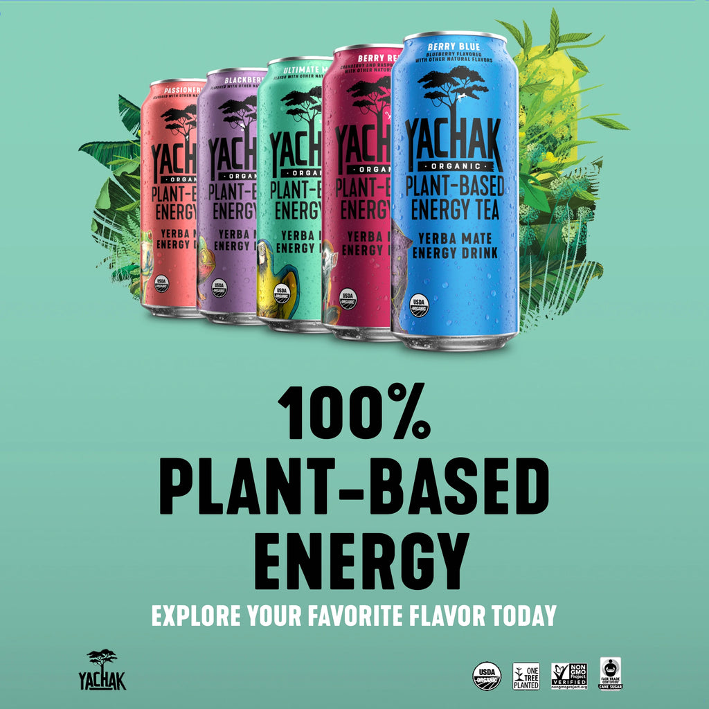 Yerba Mate Drink 16 fl oz 12 Pack Cans F631145