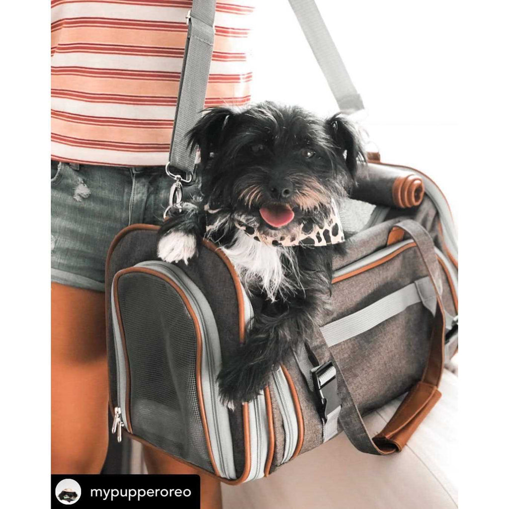 Expandable Airline Approved Pet Carrier S750