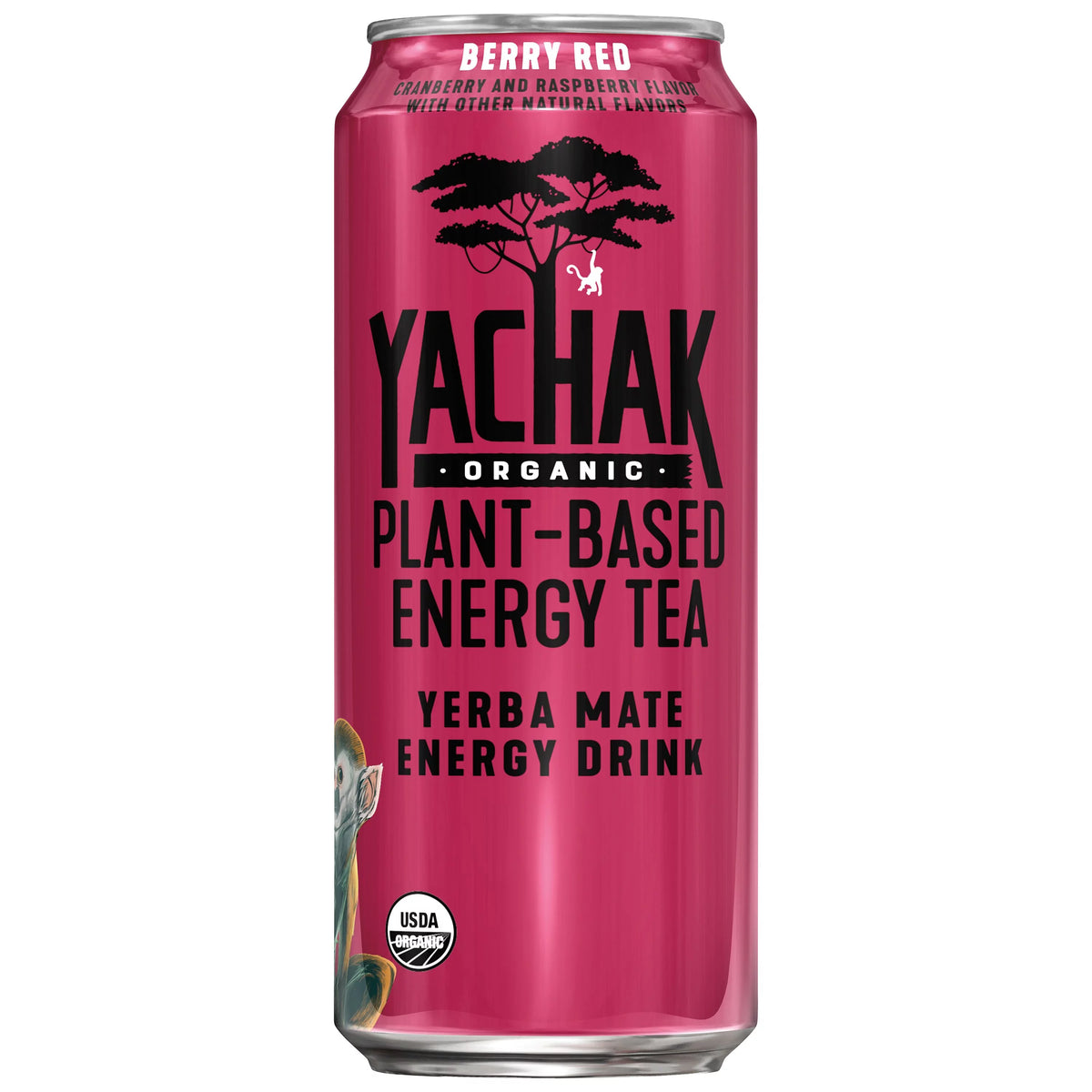 Yerba Mate Drink 16 fl oz 12 Pack Cans F631145