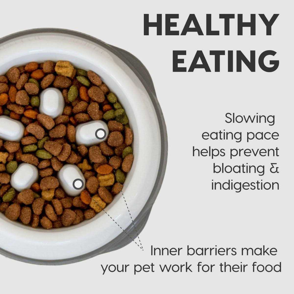 Slow Feeding Bowl for Short Snouted Pets T541