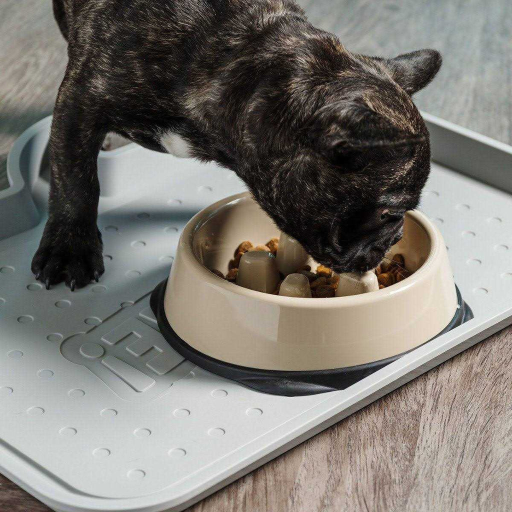 Slow Feeding Bowl for Short Snouted Pets T541