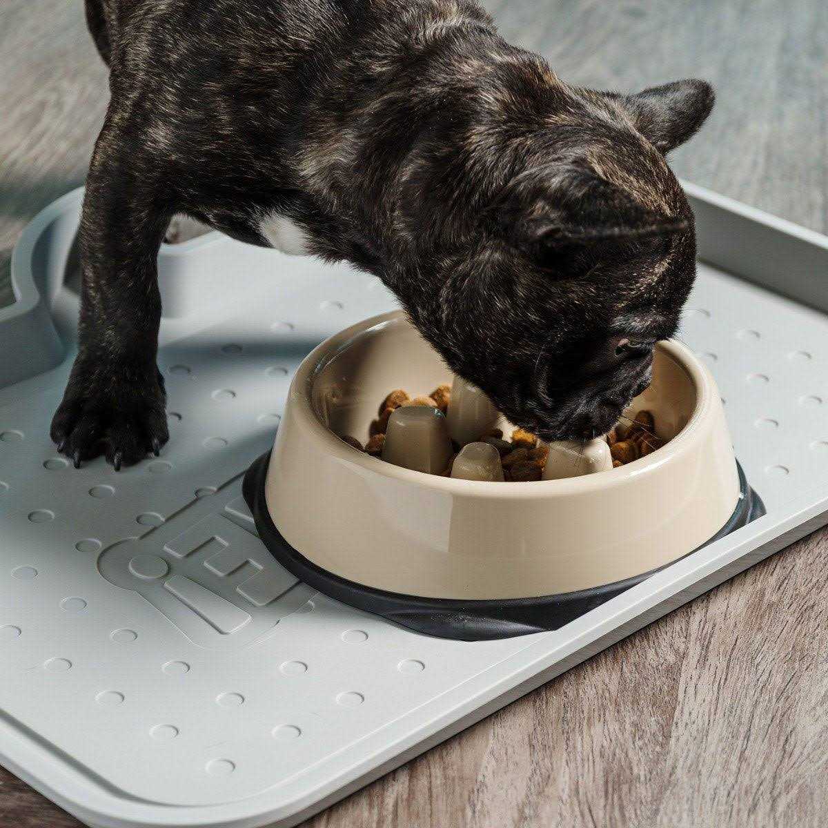 Slow Feeding Bowl for Short Snouted Pets T541