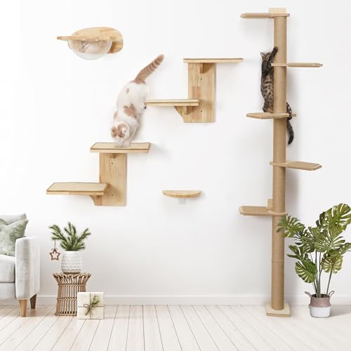 5 Tier Floor to Ceiling Cat Tree Y4859