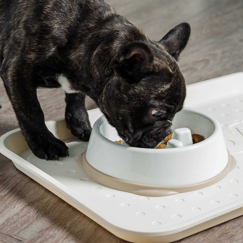 Slow Feeding Bowl for Short Snouted Pets T541