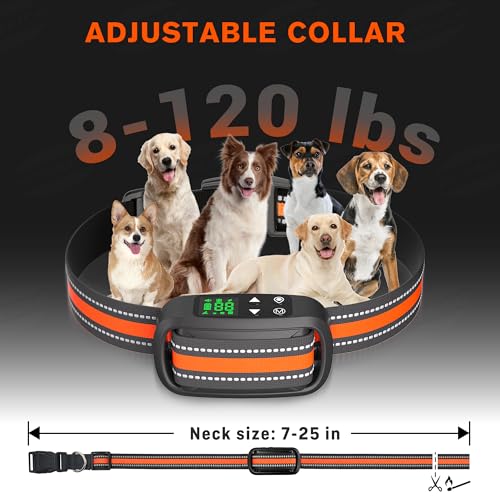 2 in 1 GPS Wireless Dog Fence and Training Collar X354