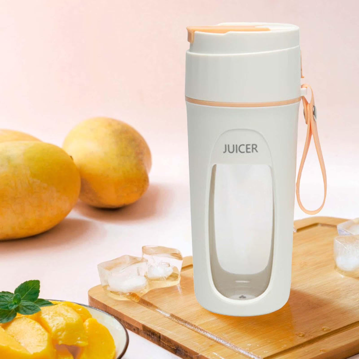 Portable USB Rechargeable 340ml Personal Blender Y266