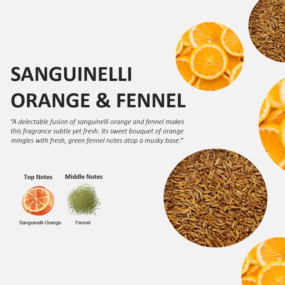 Orange and Fennel Hand Soap 500ml + 1 LITER Set Z24872