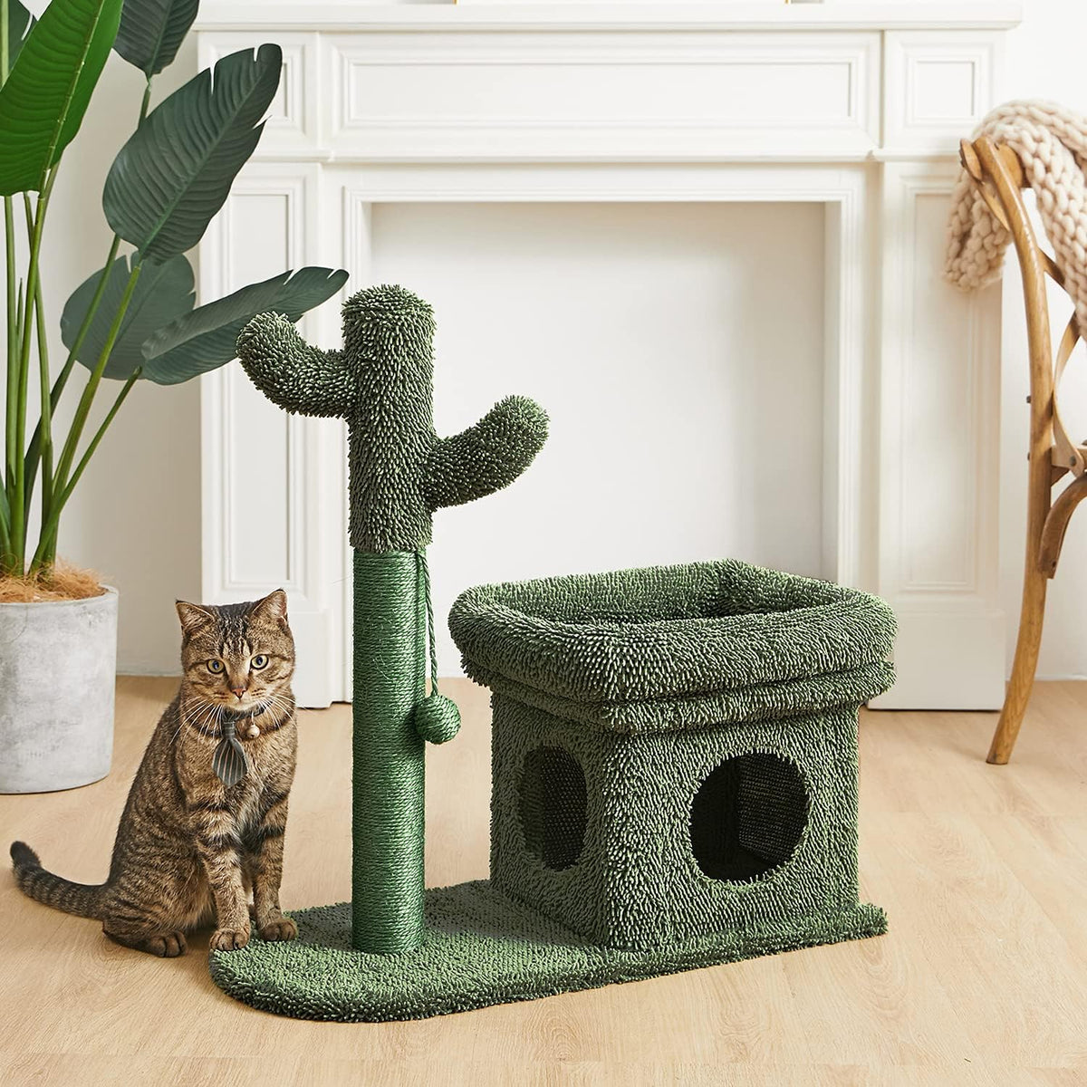 Green Cat Scratching Post Kitty Condo with Dangling Ball U27459